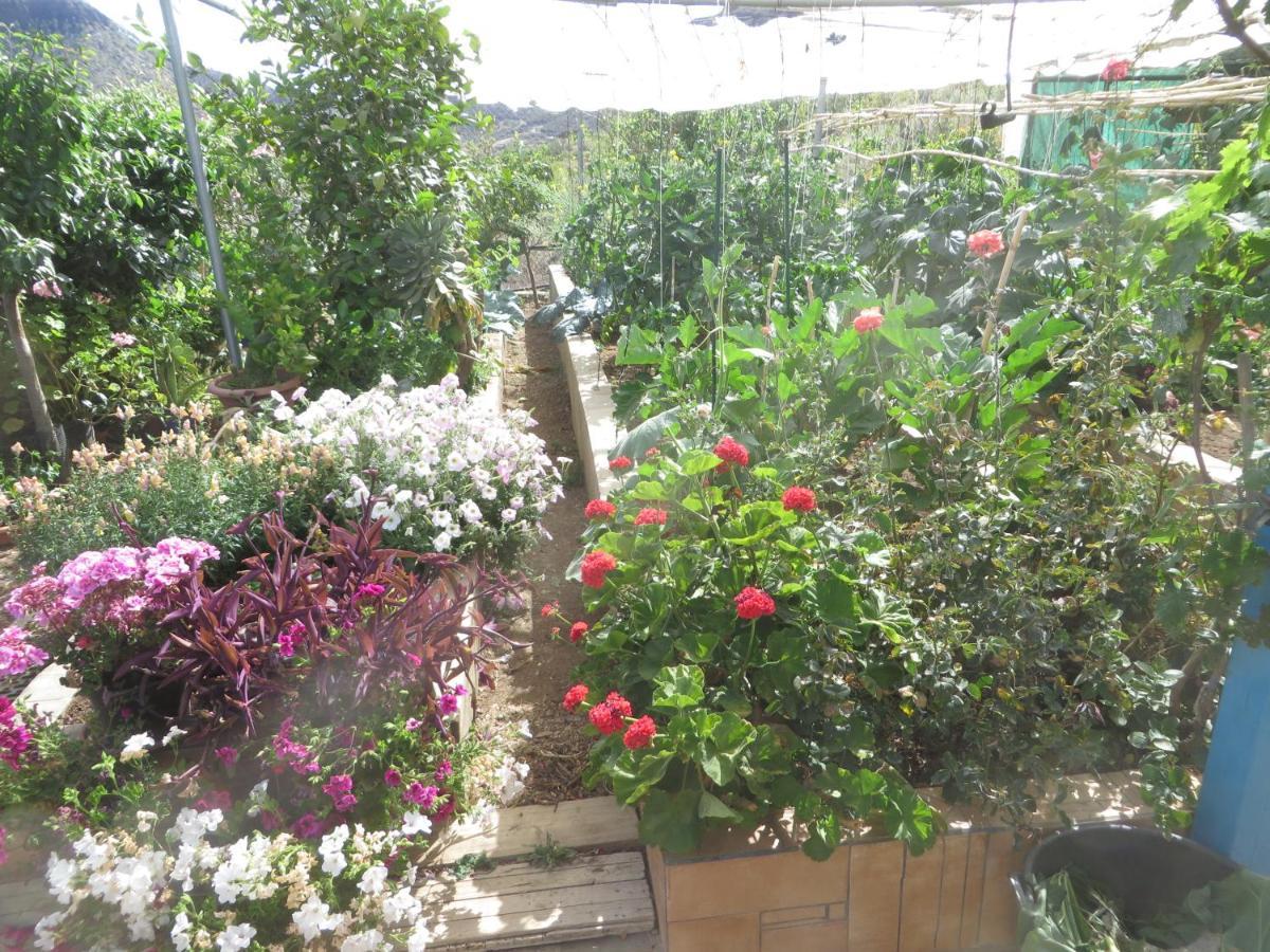 Apartamento Gartenapartment Cortez